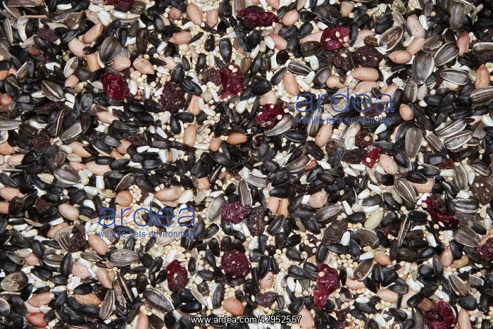 : Mixed seed for bird feeding : Mixed seed for bird feeding