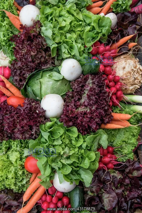  : Mixed vegetables with carrots, cabbages, radishes