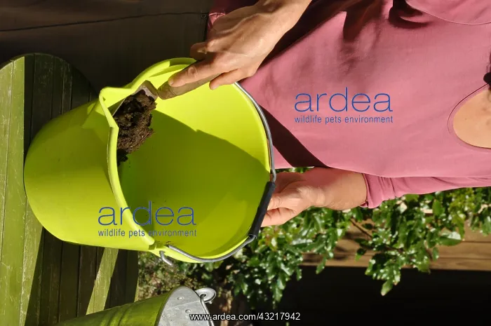 : Mixing of a cow excrement based fertilizer in a garden : Mixing of a cow excrement based fertilizer in a garden