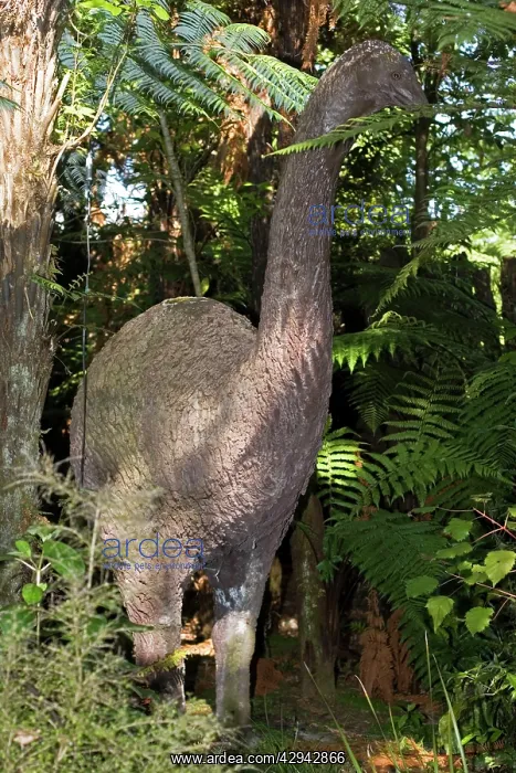: Moa Reconstruction - life size model of extinct Mo : Moa Reconstruction - life size model of extinct Mo