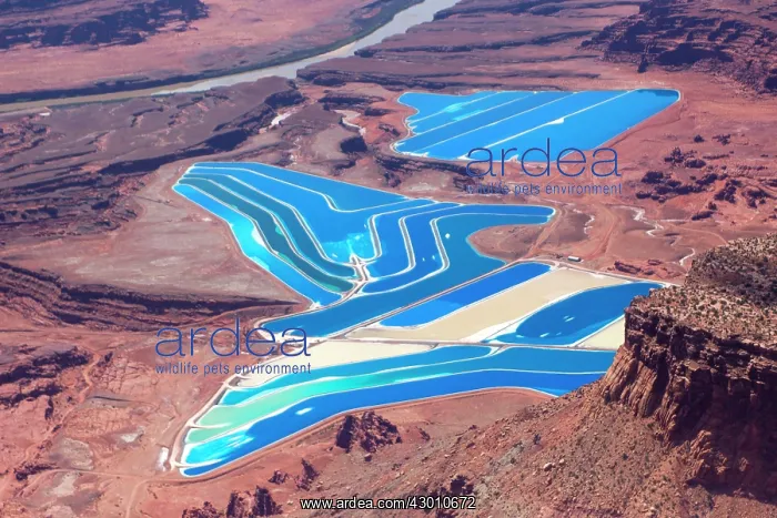 : The Moab / Cane Creek Potash Mine : The Moab / Cane Creek Potash Mine
