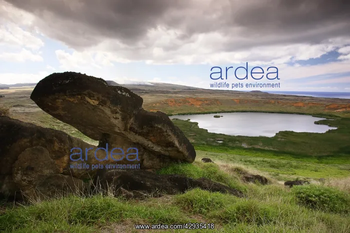 : Moai abandoned in mid-creation, and the crater : Moai abandoned in mid-creation, and the crater