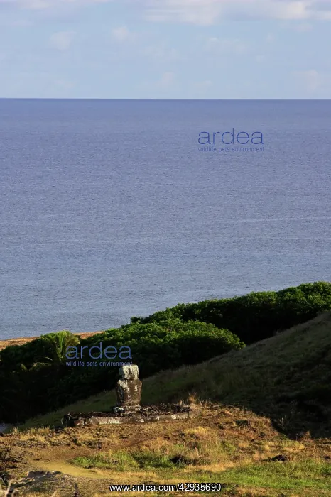 : Moai on Ahu Ature Huki. Anakena Bay. Easter Island : Moai on Ahu Ature Huki. Anakena Bay. Easter Island