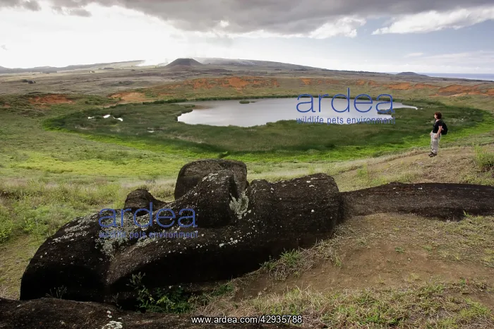 : Moai and crater lake in the caldera of the.Rano : Moai and crater lake in the caldera of the.Rano