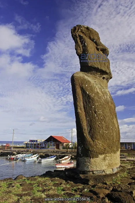 : Moai (monolithic stone statue) of Ahu Tautira in : Moai (monolithic stone statue) of Ahu Tautira in