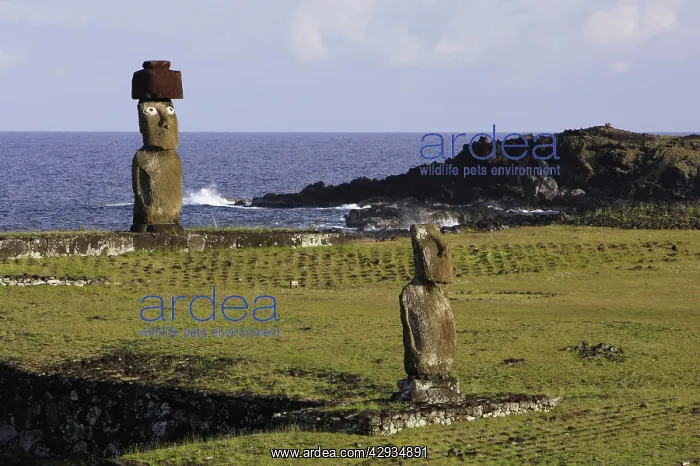  : Moais on Ahu Ko Te Riku and Ahu Tahai (ahu are