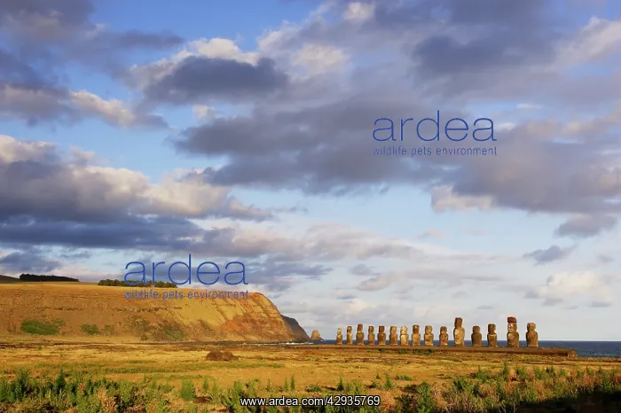  : The fifteen Moais of Ahu Tongariki, restored 1990s