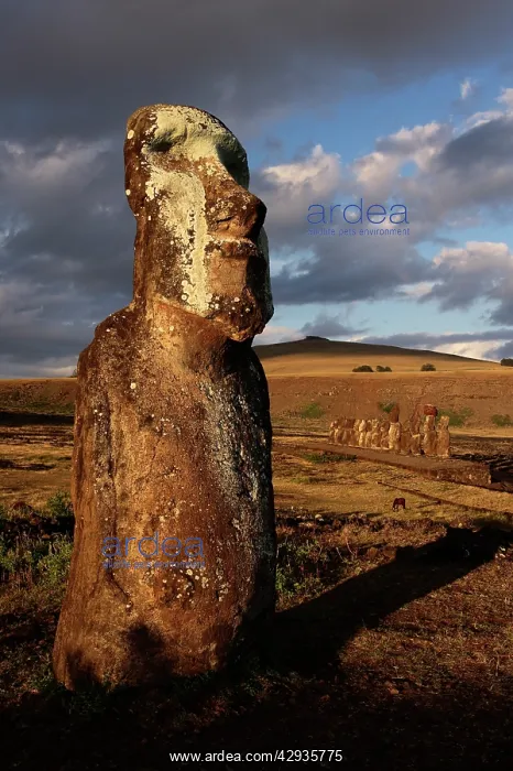 : One of the fifteen Moais of Ahu Tongariki, restored : One of the fifteen Moais of Ahu Tongariki, restored