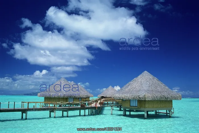 : Moana Beach Park Royale Hotel on the Island : Moana Beach Park Royale Hotel on the Island