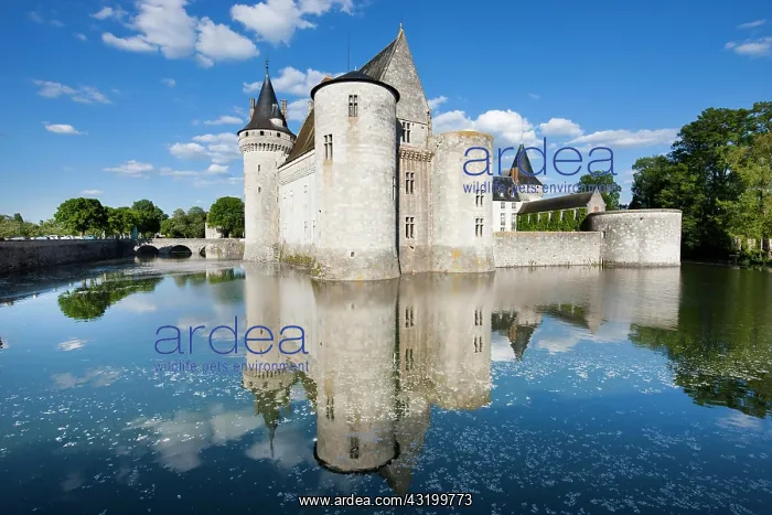 : Moated castle, Castle Sully, Sully-sur-Loire, Loiret : Moated castle, Castle Sully, Sully-sur-Loire, Loiret