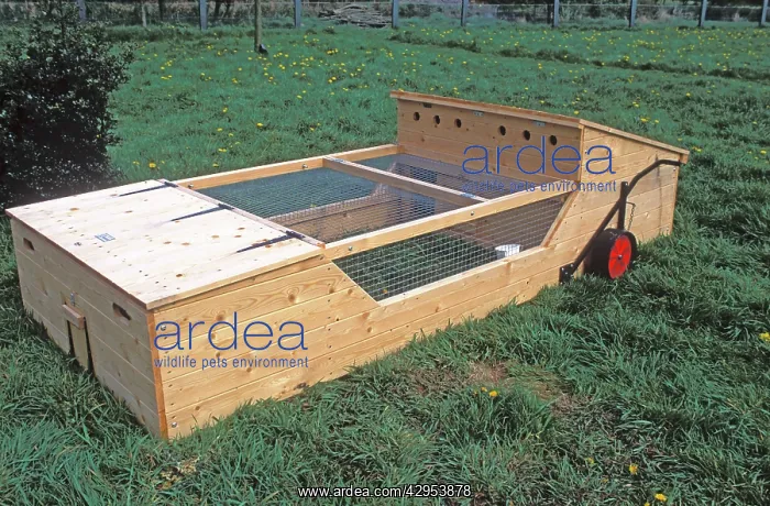  : Mobile poultry ark for chickens in field