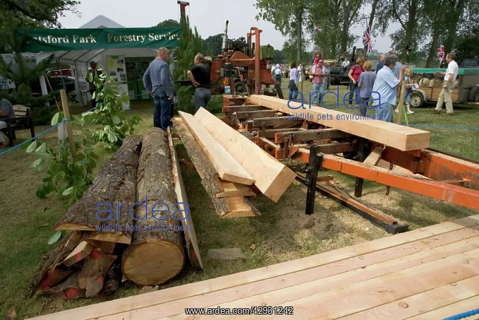 : Mobile saw for sawing logs at Moreton-in-Marsh : Mobile saw for sawing logs at Moreton-in-Marsh