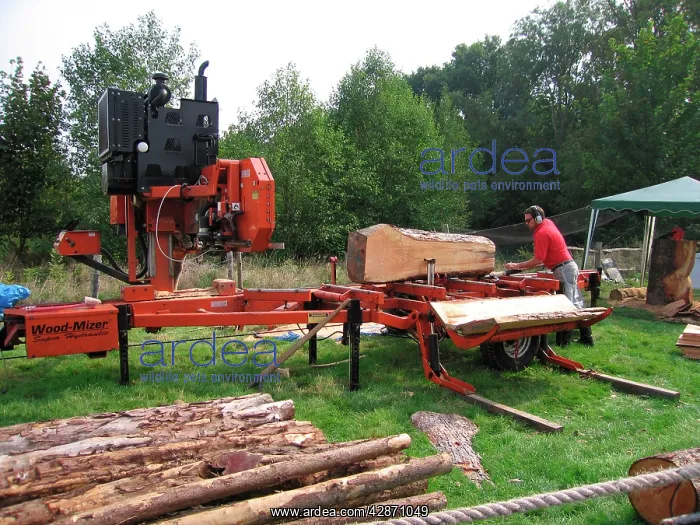 : Mobile Timber planker - Sussex - UK : Mobile Timber planker - Sussex - UK