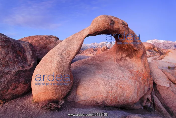 : Mobius Arch, Alabama Hills, California, USA, North : Mobius Arch, Alabama Hills, California, USA, North