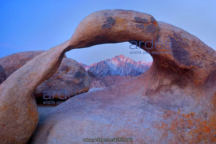 : Mobius Arch - alpenglow on Lone Pine, one of the : Mobius Arch - alpenglow on Lone Pine, one of the