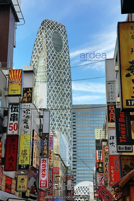 : Mode Gakuen Coccoon Tower and building signs in Shinjuku, To : Mode Gakuen Coccoon Tower and building signs in Shinjuku, To