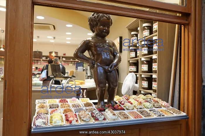 : Model of the Manneken Pis, statue of a boy peeing : Model of the Manneken Pis, statue of a boy peeing