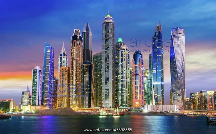 : Modern residential architecture of Dubai Marina : Modern residential architecture of Dubai Marina
