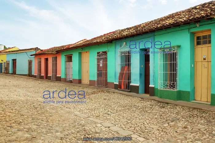 : Modest dwellings in the colonial old town. Trinidad : Modest dwellings in the colonial old town. Trinidad