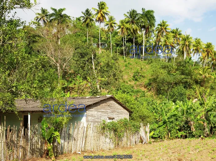 : Modest rural dwelling in the lush countryside around : Modest rural dwelling in the lush countryside around