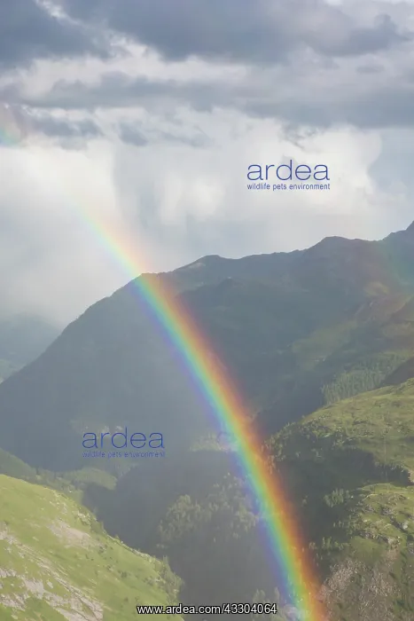 : Moelltal Valley filled with clouds and rainbow - : Moelltal Valley filled with clouds and rainbow -