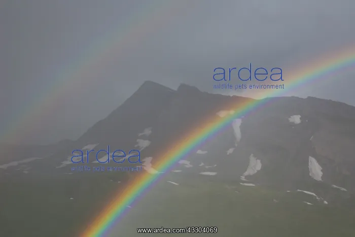 : Moelltal Valley filled with clouds and rainbow - : Moelltal Valley filled with clouds and rainbow -