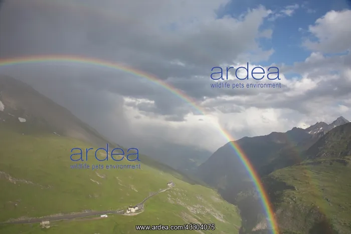 : Moelltal Valley filled with clouds and rainbow - : Moelltal Valley filled with clouds and rainbow -