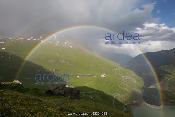 : Moelltal Valley filled with clouds and rainbow - : Moelltal Valley filled with clouds and rainbow -