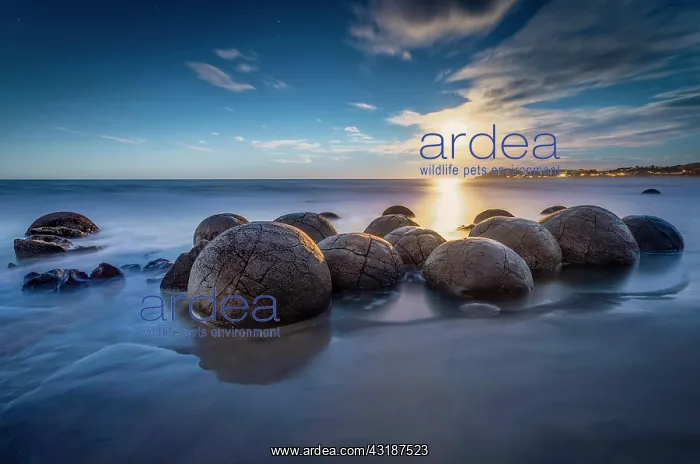 : Moeraki Bolders at full moon, round rock balls : Moeraki Bolders at full moon, round rock balls