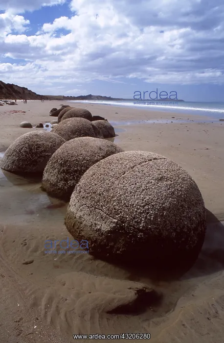 : MOERAKI BOULDERS - formed by secretions around a : MOERAKI BOULDERS - formed by secretions around a