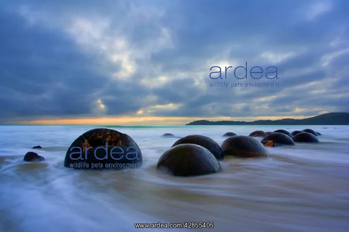 : Moeraki Boulders - massive spherical rocks at dawn : Moeraki Boulders - massive spherical rocks at dawn
