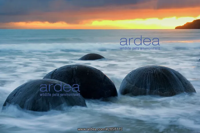 : Moeraki Boulders - massive spherical rocks at dawn : Moeraki Boulders - massive spherical rocks at dawn