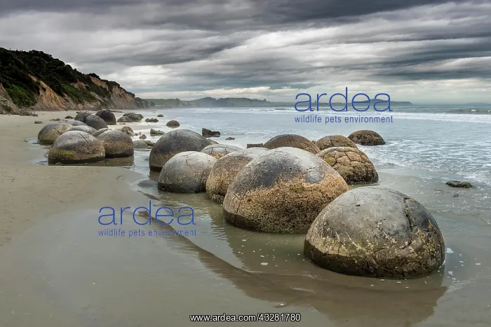 : Moeraki Boulders, Round Rocks on the Beach, Coast : Moeraki Boulders, Round Rocks on the Beach, Coast