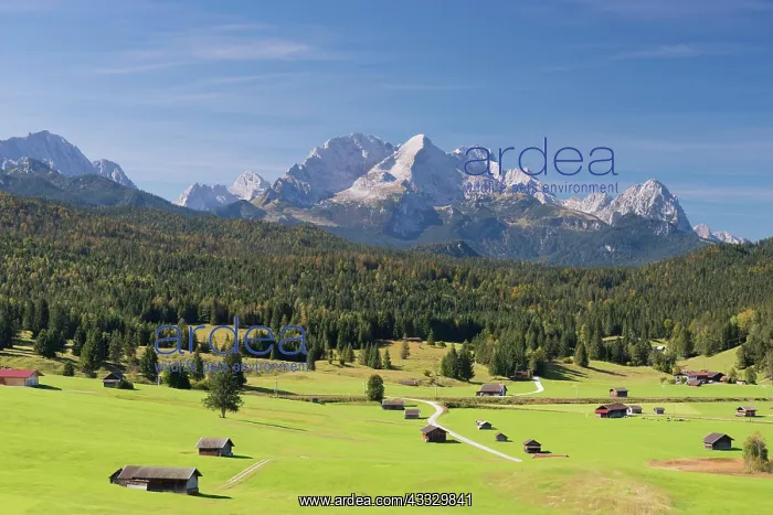 : Mogul meadows between Mittenwald and Kran, Werde : Mogul meadows between Mittenwald and Kran, Werde
