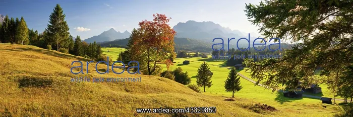 : Mogul meadows between Mittenwald and Kran, Werde : Mogul meadows between Mittenwald and Kran, Werde