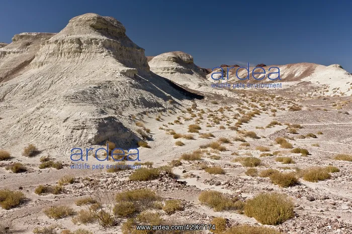 : Mojave Desert, dry saline badland hills : Mojave Desert, dry saline badland hills