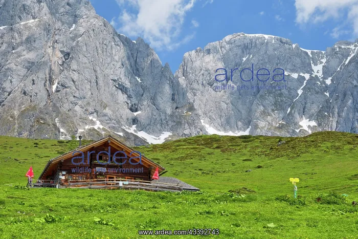 : Molterau Hut with Hochknnig, Riedingtal, Mahlbac : Molterau Hut with Hochknnig, Riedingtal, Mahlbac