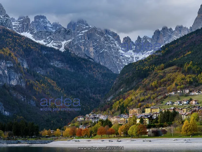  : Molveno at Lago di Molveno in the Brenta Dolomites