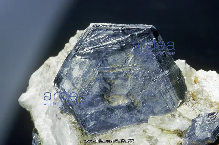 : Molybdenite from Chelan, Washington : Molybdenite from Chelan, Washington
