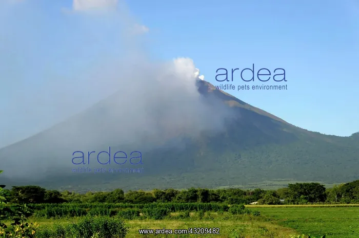 : Momotombo Volcano, 1297m, Leon, Nicaragua, Central : Momotombo Volcano, 1297m, Leon, Nicaragua, Central