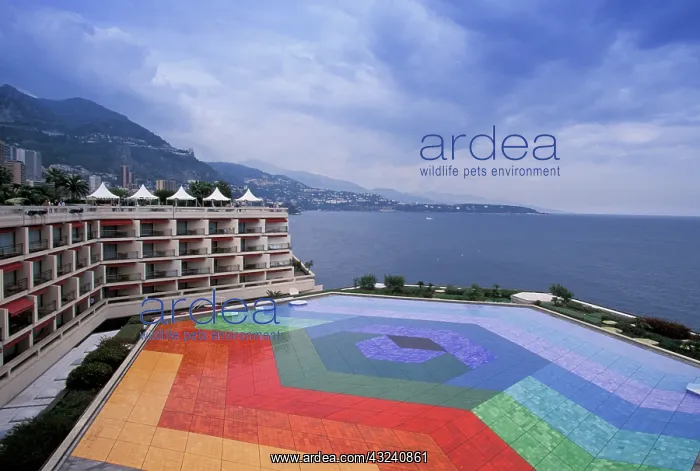 : Monaco, Monte Carlo. Centre de Congress : Monaco, Monte Carlo. Centre de Congress