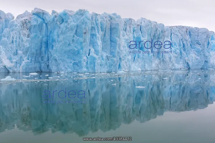  : Monacobreen, glacier in Haakon VII Land which debouches into