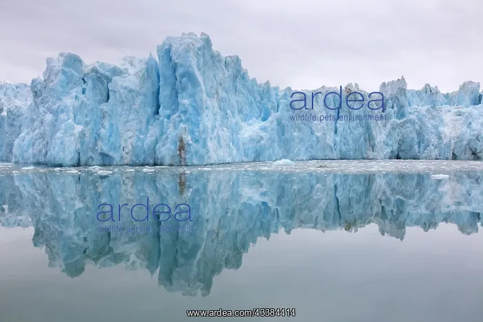: Monacobreen, glacier in Haakon VII Land which debouches into : Monacobreen, glacier in Haakon VII Land which debouches into