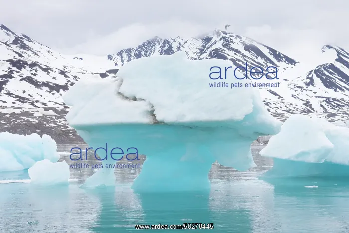 : Monacobreen ice floe : Monacobreen ice floe