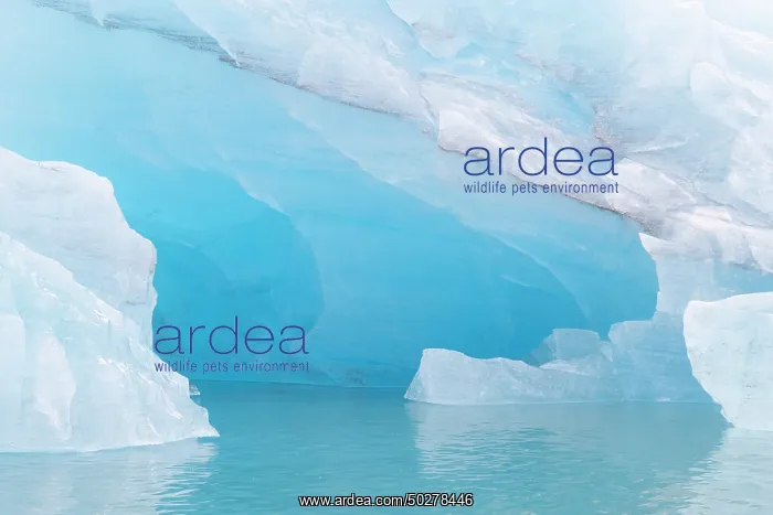 : Monacobreen ice floe : Monacobreen ice floe
