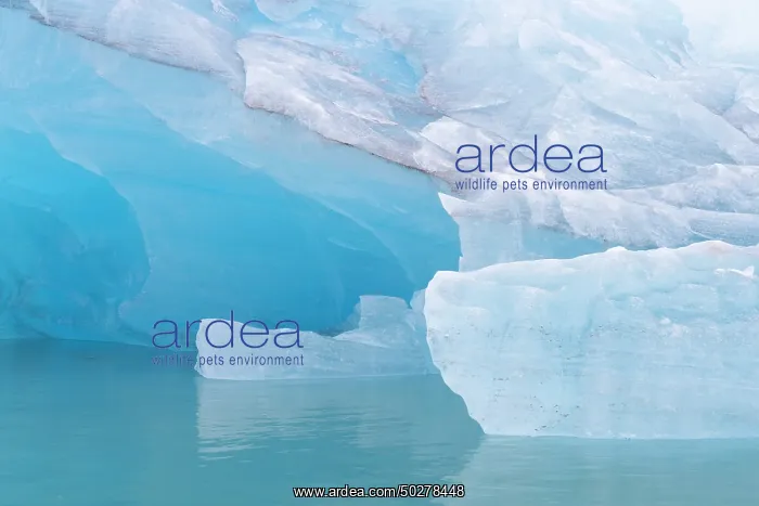 : Monacobreen ice floe : Monacobreen ice floe