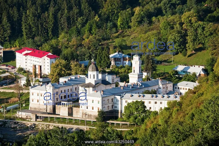 : The monastery of Bistrita in Wallachia : The monastery of Bistrita in Wallachia