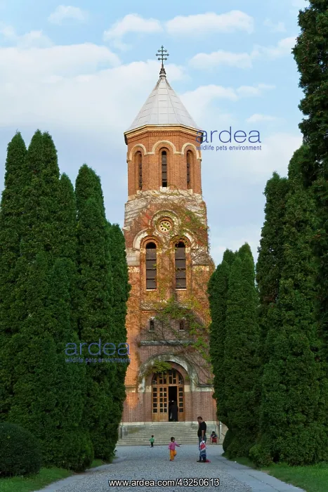 : The Monastery of the Episcopal Cathedral : The Monastery of the Episcopal Cathedral