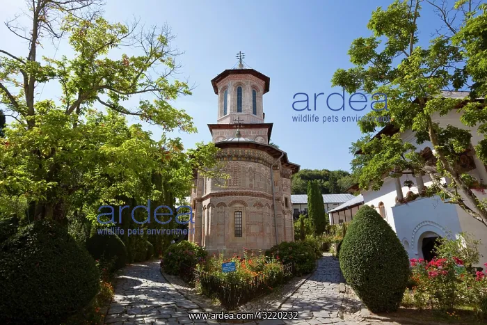 : Monastery Manastirea dintr-un Lemn, a garden : Monastery Manastirea dintr-un Lemn, a garden