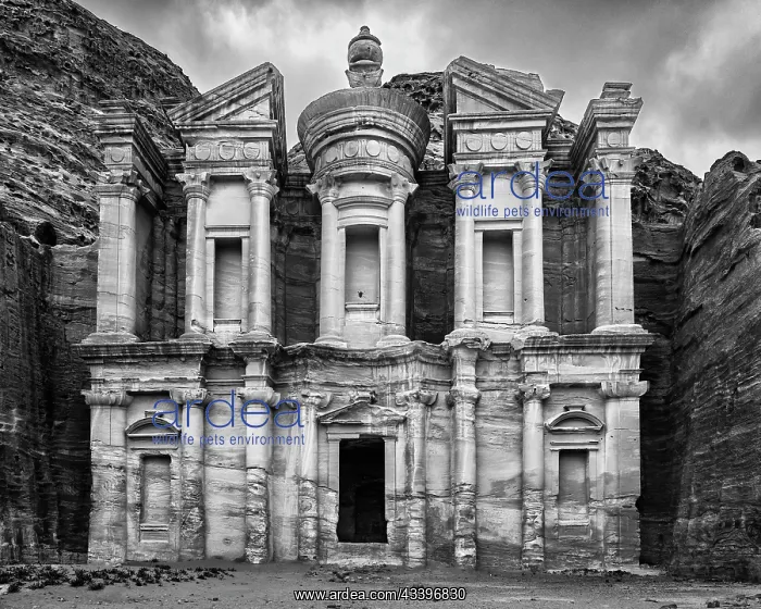  : Monastery, Petra, Jordan